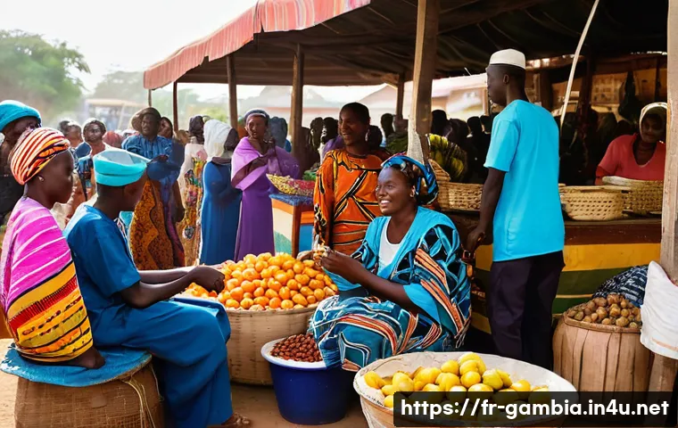 감비아에서 장기 체류 비자 관련 이미지 2