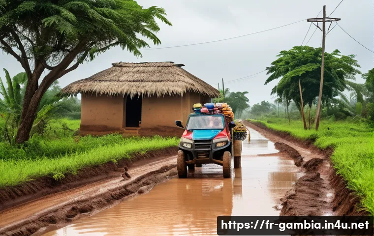 감비아 도로 상태 관련 이미지 1